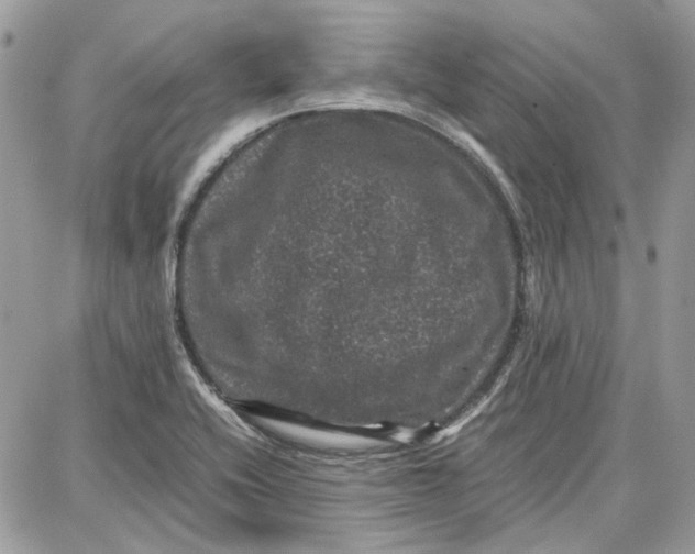 X0000087671416200705251607