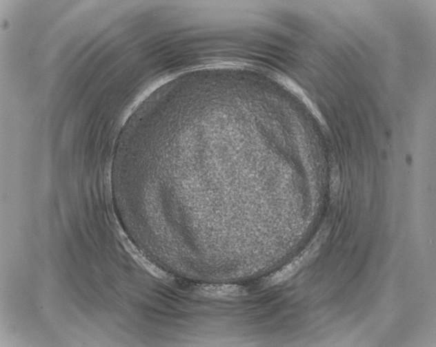 X0000087671417200705251607