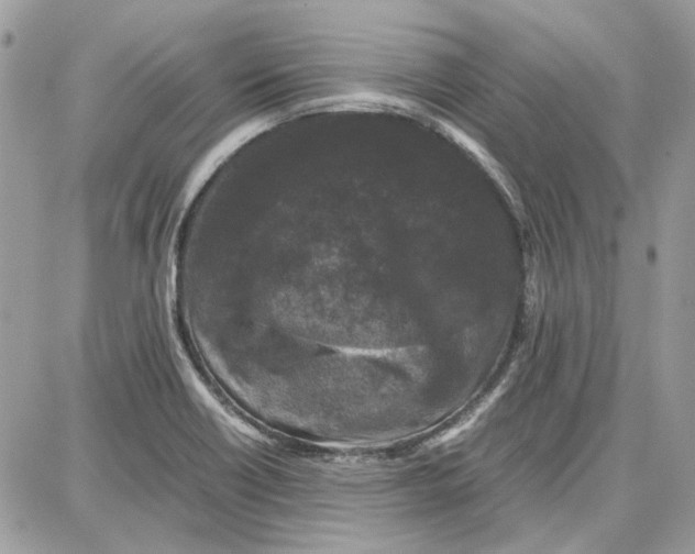 X0000087671418200705251607