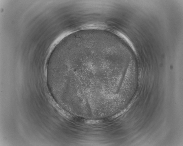 X0000087671419200705251607