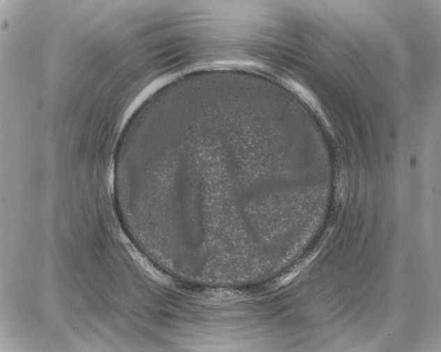 X0000087671420200705251607