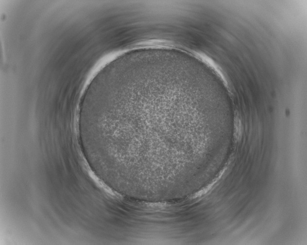 X0000087671421200705251607