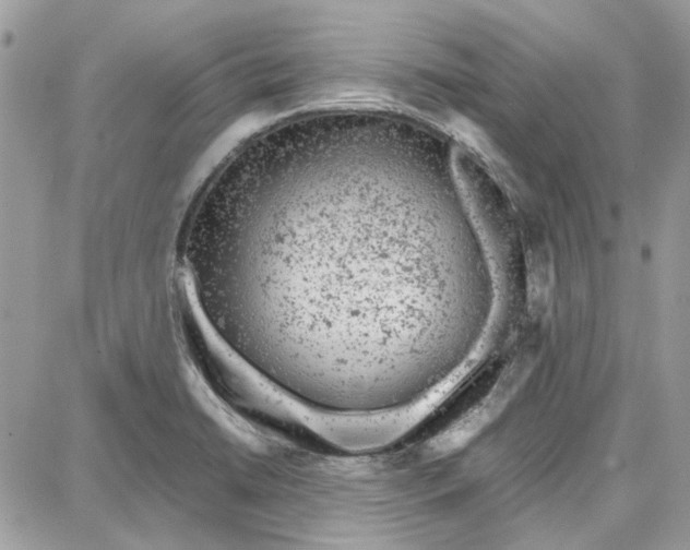 X0000087671422200705251607