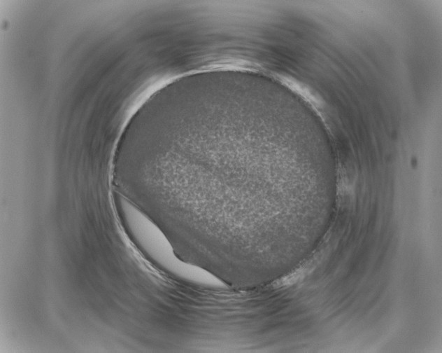 X0000087671423200705251607