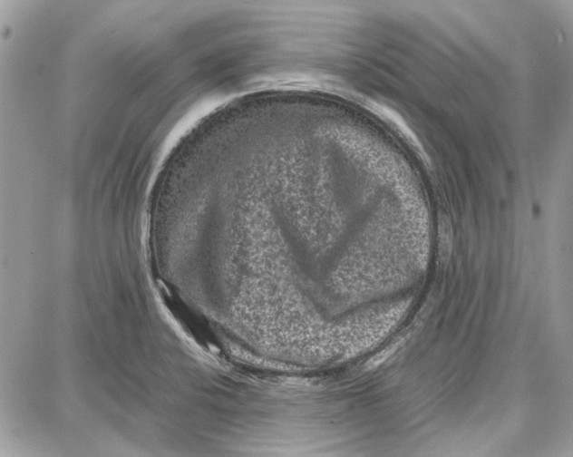 X0000087671424200705251607