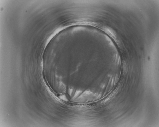 X0000087671428200705251607