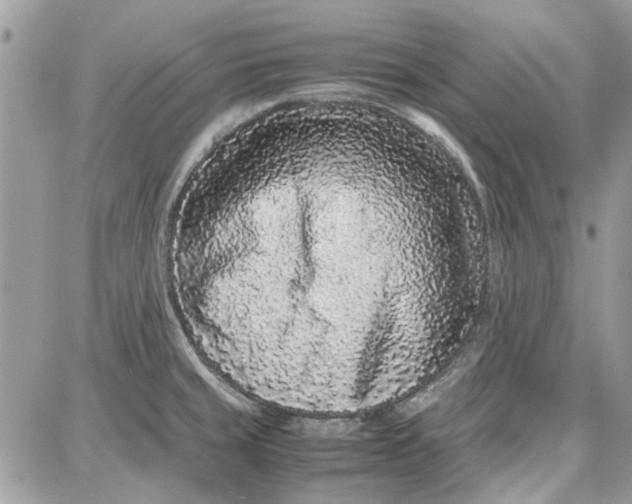 X0000087671429200705251607