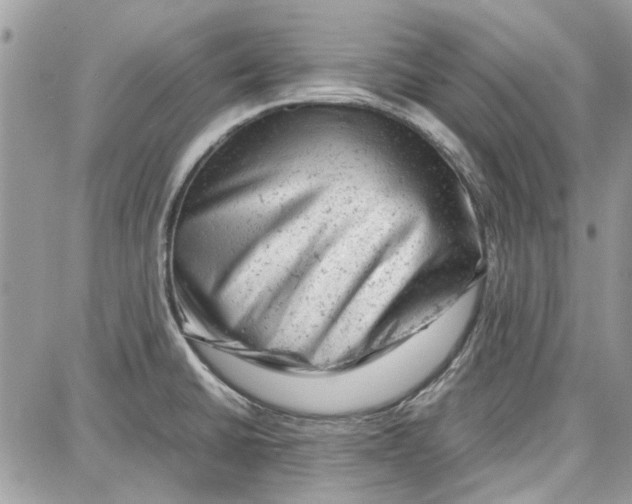 X0000087671430200705251607