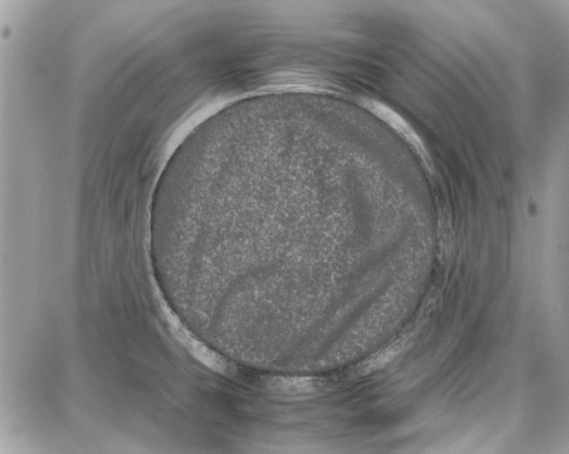 X0000087671431200705251608