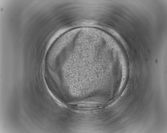 X0000087671432200705251608