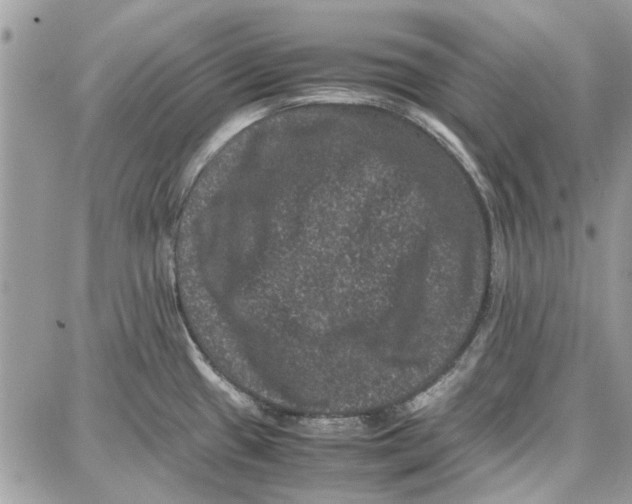 X0000087671433200705251608