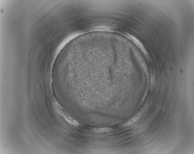 X0000087671435200705251608