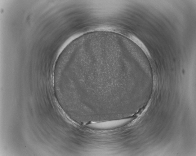 X0000087671436200705251608