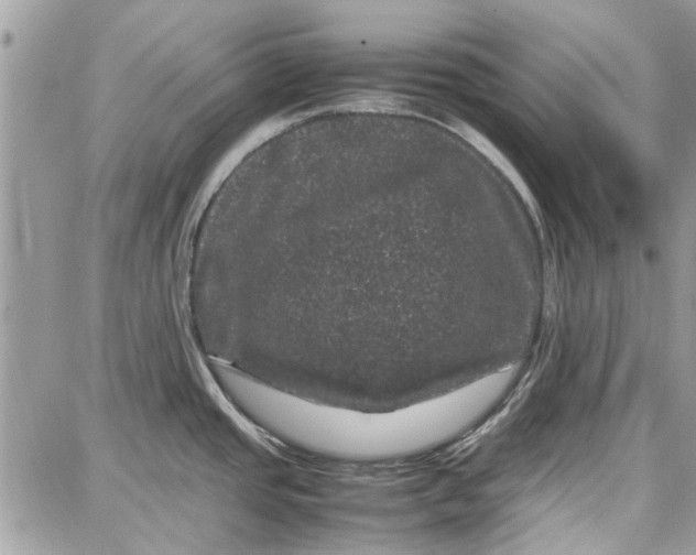 X0000087671437200705251608