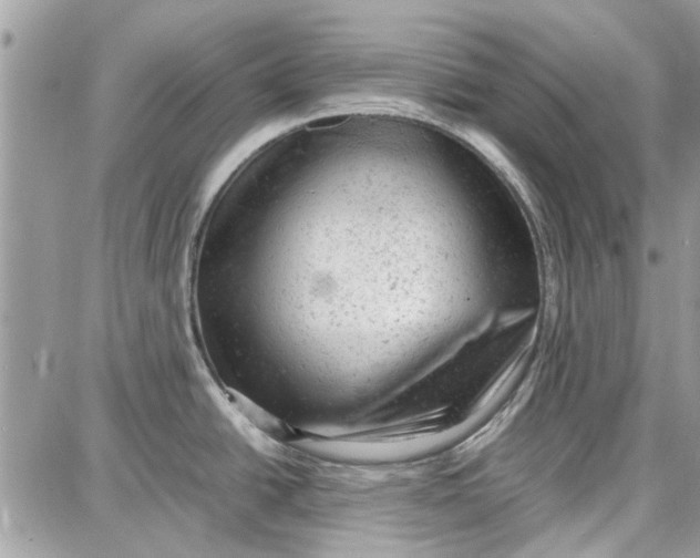 X0000087671438200705251608