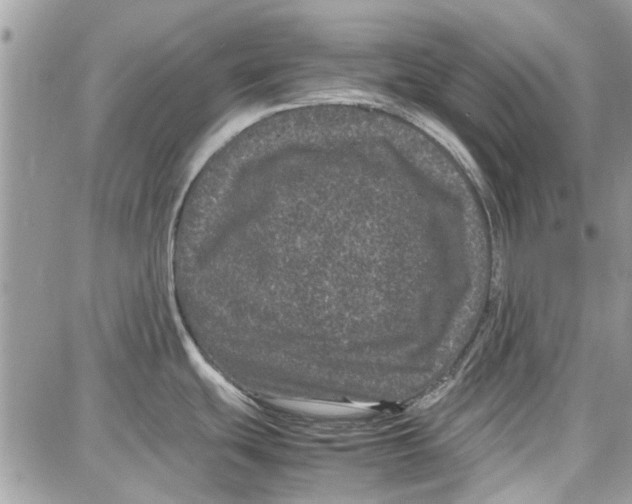 X0000087671439200705251608