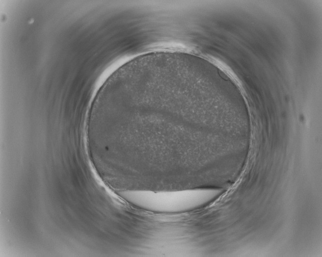 X0000087671440200705251608