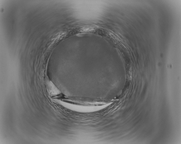 X0000087671441200705251607