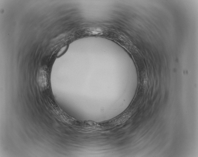 X0000087671442200705251607