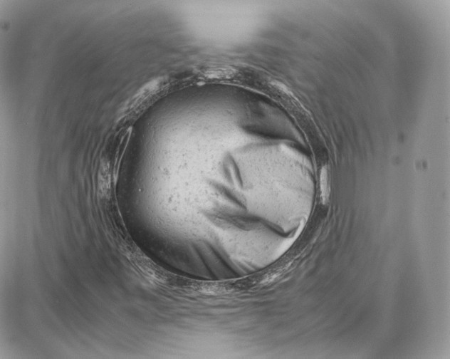 X0000087671443200705251607