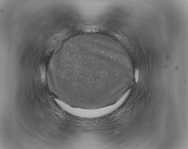 X0000087671444200705251607