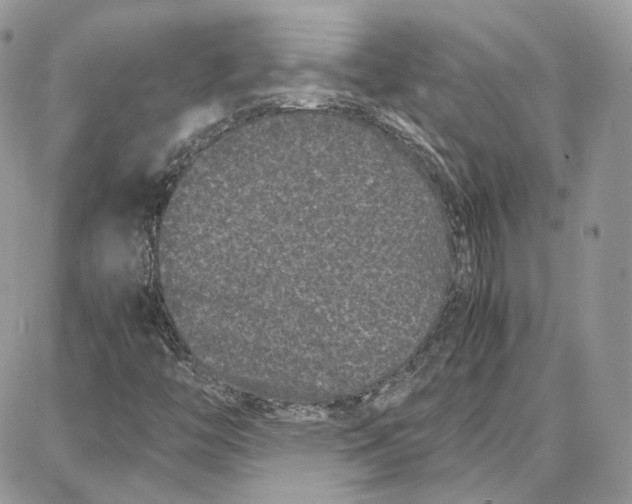 X0000087671446200705251607