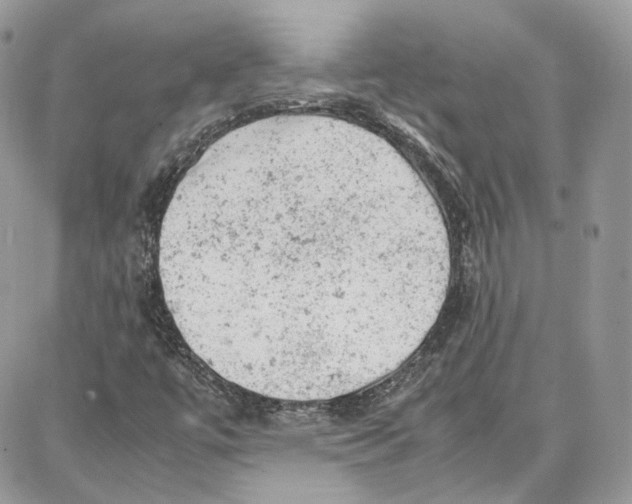 X0000087671447200705251607