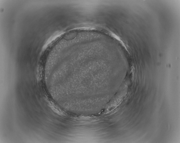 X0000087671448200705251607