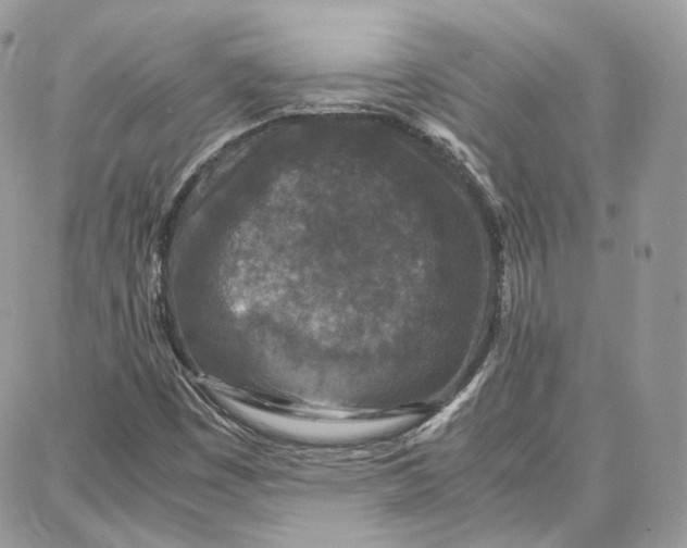 X0000087671449200705251607