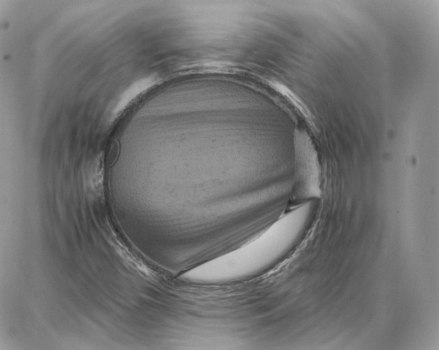 X0000087671450200705251607