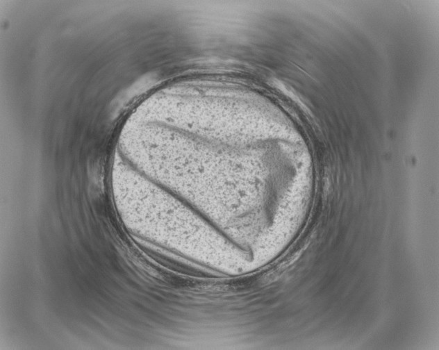 X0000087671451200705251607