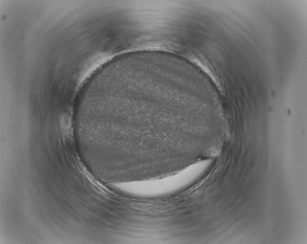 X0000087671452200705251607