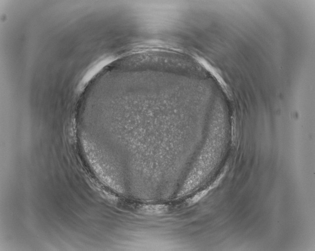 X0000087671453200705251607