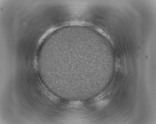 X0000087671454200705251607