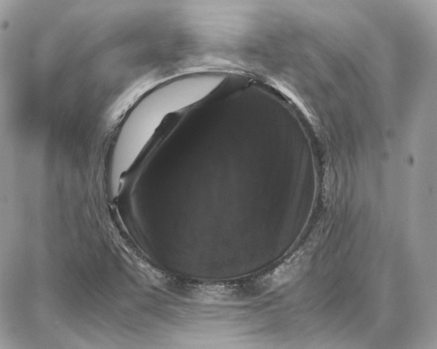 X0000087671455200705251607