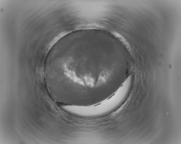 X0000087671457200705251607