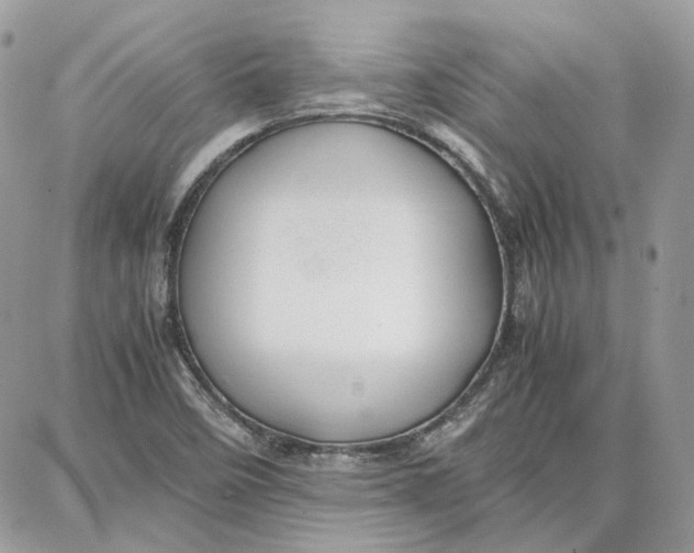 X0000087671458200705251607