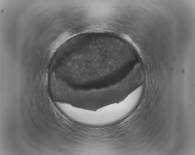 X0000087671459200705251607