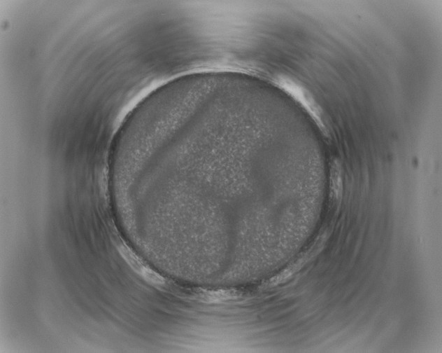 X0000087671460200705251607