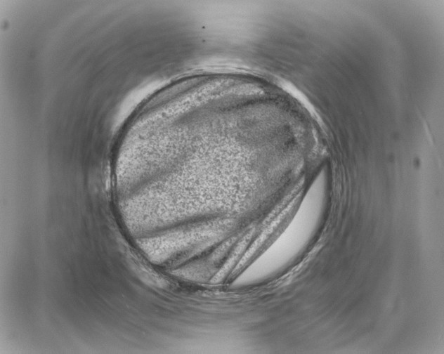 X0000087671461200705251607