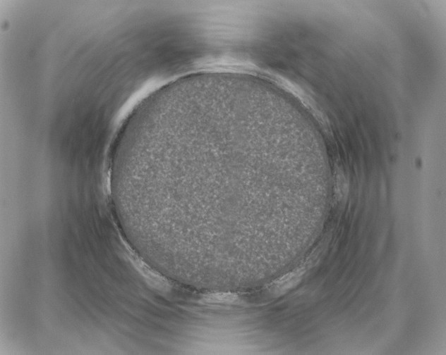 X0000087671462200705251607