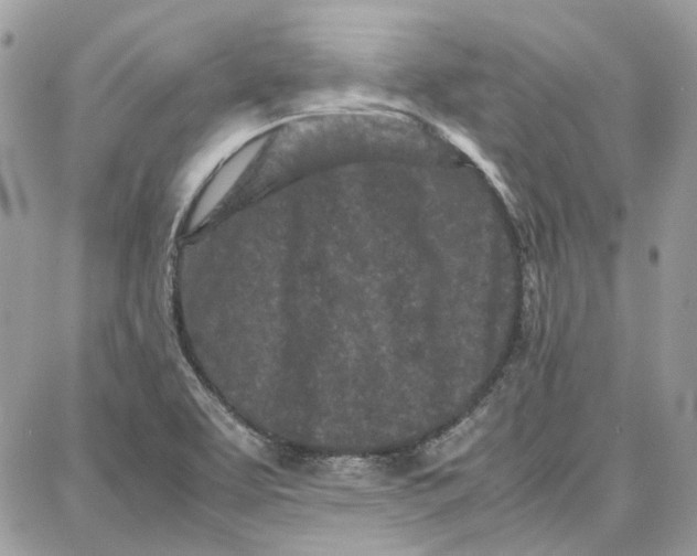 X0000087671463200705251607