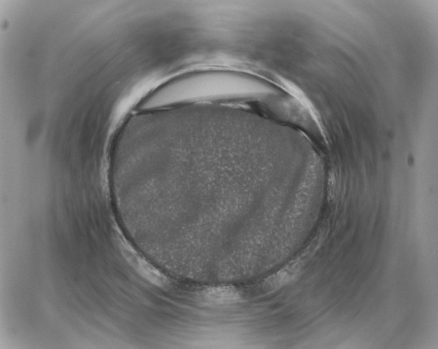 X0000087671464200705251607