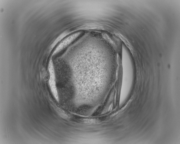 X0000087671465200705251606