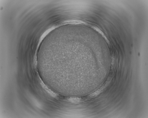 X0000087671466200705251606