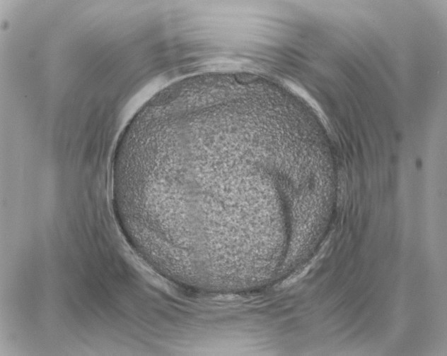 X0000087671467200705251606