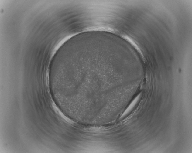 X0000087671468200705251606