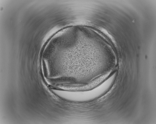 X0000087671469200705251606