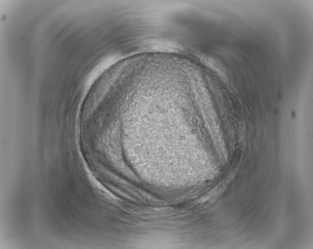 X0000087671471200705251606