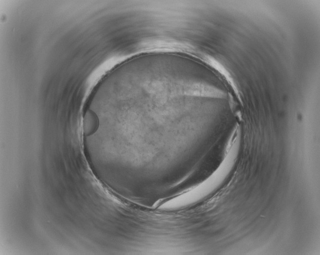 X0000087671472200705251606